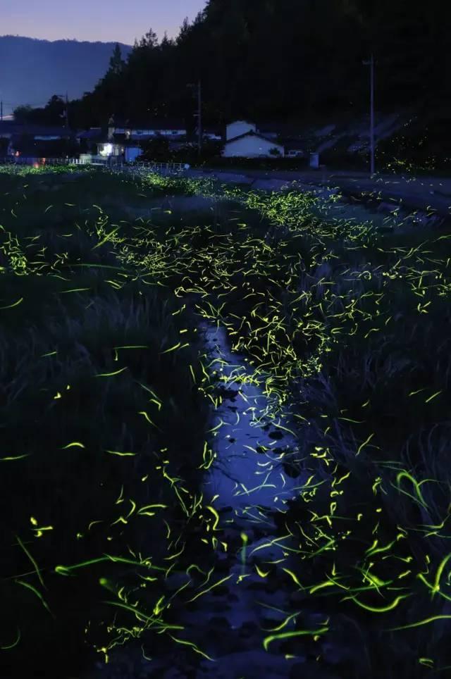 逗小猴开心系列212